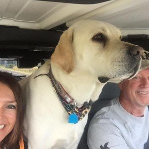 Meet your Posher, Renee